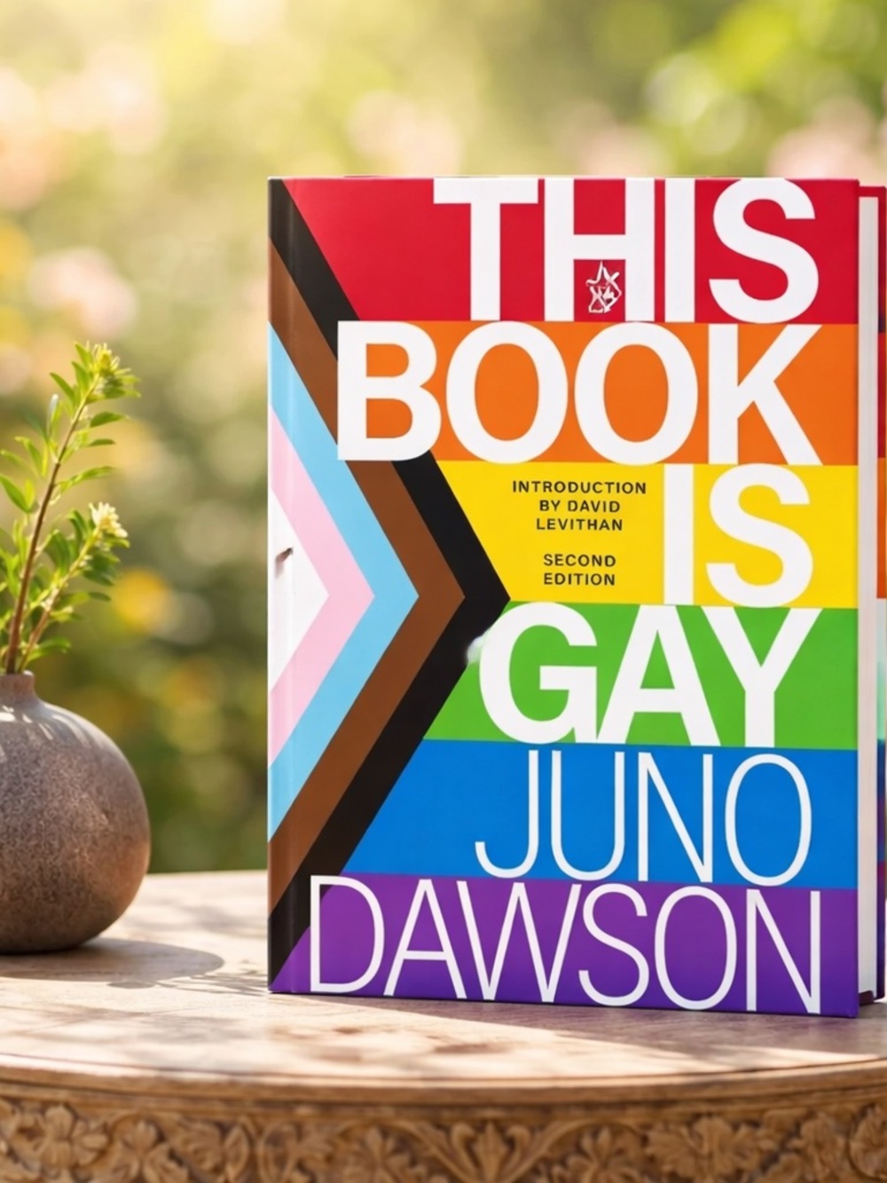 This Book Is Gay by Juno Dawson 🏳️‍🌈🏳️‍⚧️